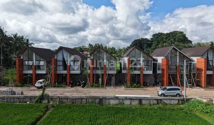 New Villa in Ubud Ricefield View Lokasi Premium Konsep Modern di Bali