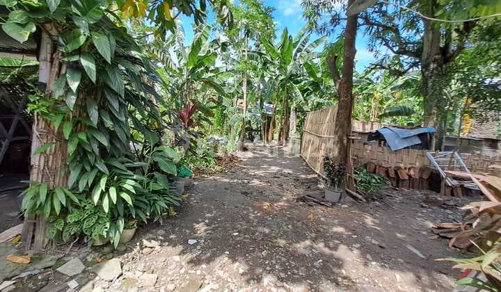 Lahan Pekarangan di Banjarsari Solo, Cocok untuk Usaha Kos