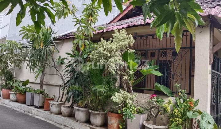 Rumah Tua Hitung Tanah Di Benhil Jakpus