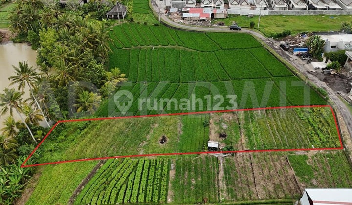Dijual tanah pantai pasut los sungai lingkungan villa & resort