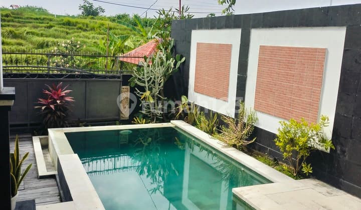 Cozy Villa Pererenan For Rent And Sale