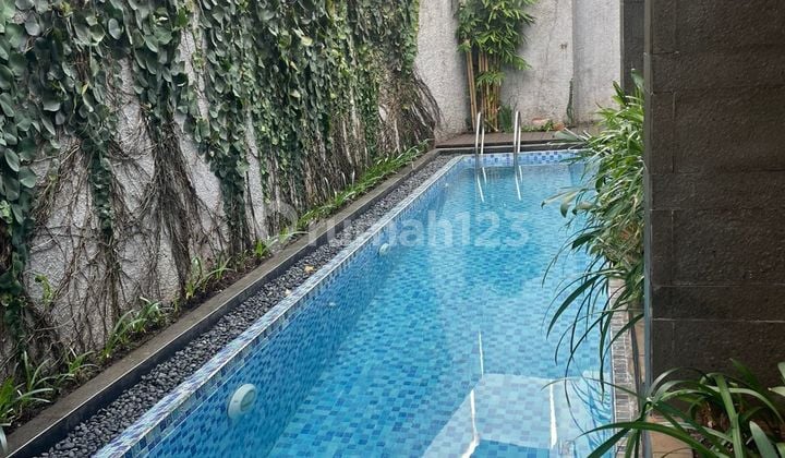 Rumah Modern Mungil 3 Lantai Asri Dg Pool di Kebayoran Baru