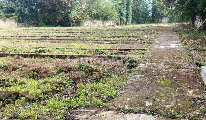 Dijual Cepat Tanah di Area Rumpin Bogor Cocok untuk Perkebunan, Perikanan, Peternakan (Tnrgp)