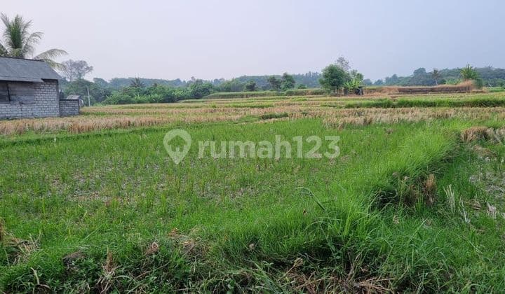 Tanah Murah Utama Bypass Ida Bagus Mantra # Pantai Lebih Gianyar