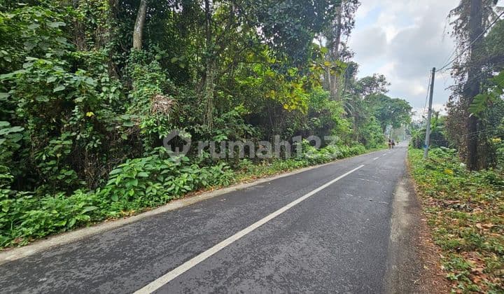 Tanah Komersil Di Jln Utama Pantai Nyanyi Dkt Tanah Lot Canggu