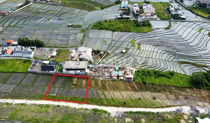 Land for rent with rice field view in Cemagi Mengwi near Seseh Canggu