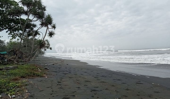 Tanah Los Pantai Penyaringan Mendoyo Dkt Raya Denpasar Gilimanuk