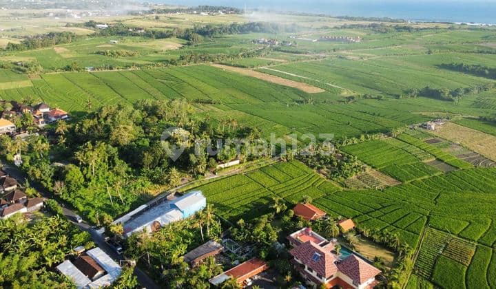 Tanah View Laut Di Tibubiu Tabanan Dkt Pantai Pasut Hidden Beach