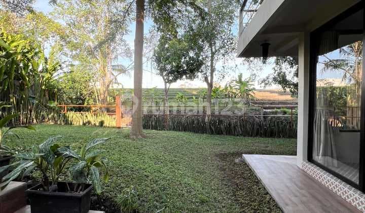 Tanah View Sawah Bonus Villa Di Pererenan Canggu Dkt Tumbak Bayuh