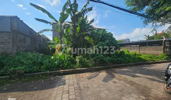 Tanah Luas Kecil Di Berawa Canggu Dekat Finns Beach Atlas Beach
