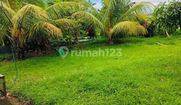 Cheap Land by the Road in Sukawati Selemadeg Tabanan # Megati