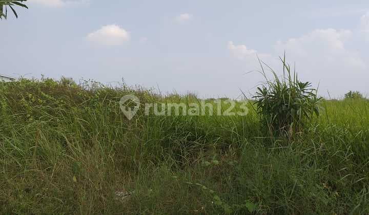 Tanah Industri Deltamas Cikarang Kawasan Grenland Luas 1.1 Ha Rp 3.5 Jt M