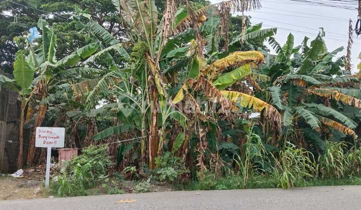 Land on Jln Raya Pulo Sirih, Sukajadi, Bekasi Regency, area 3,600, price Rp 1 million per square meter, SHM (Certificate of Ownership). Land on Jln Raya Pulo Sirih, Sukajadi, Bekasi Regency, area 3,600, price Rp 1 million per square meter, SHM (Certificate of Ownership).