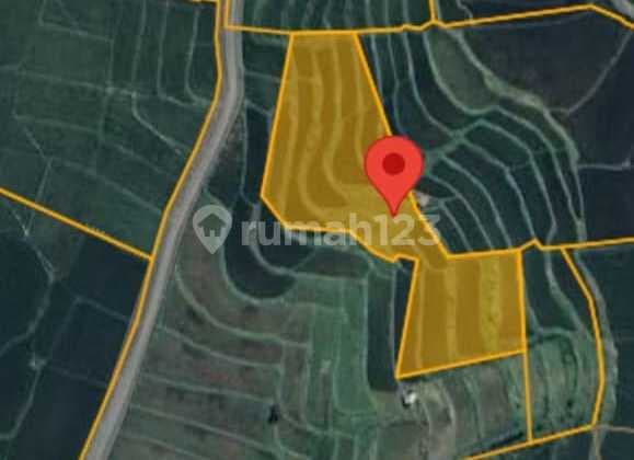 Tanah di Karangmulya Bojongmangu Luas 16.651 M² Rp 300 Rb / Meter