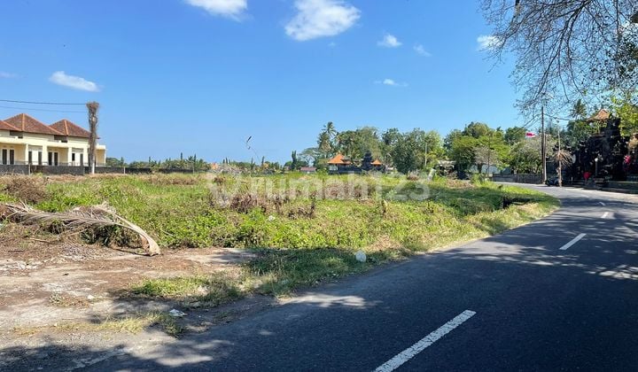 Investasi Terbaik Tanah Kavling di Jl Wanasara Bongan Tabanan