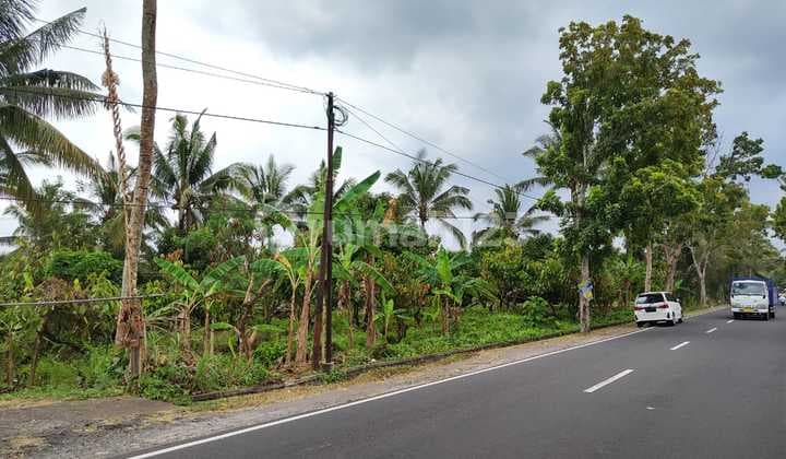 Super Spacious for Agriculture or Livestock in Antosari Tabanan