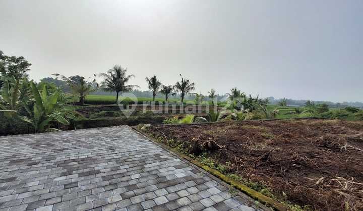 Tanah View Sawah Rasa Ubud di Utara Kota Tabanan Jl Batukaru