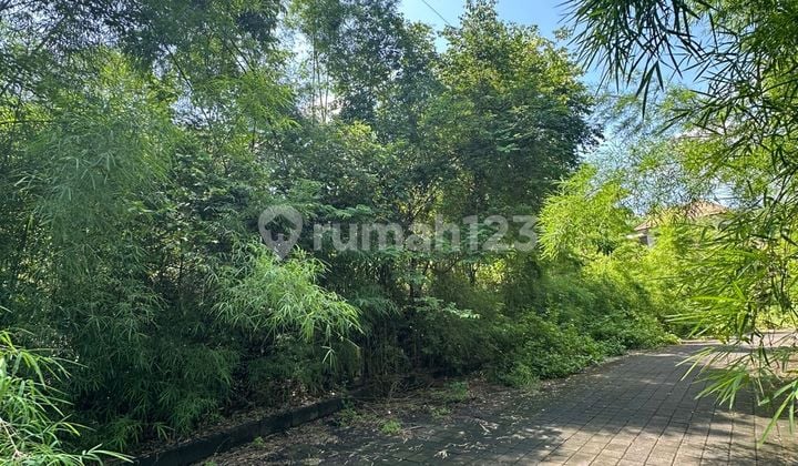 Tanah Premium Kawasan Villa Jl Taman kebo Iwa Benoa Kuta Selatan badung Bali