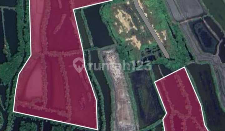 FOR SALE COMMERCIAL AND INDUSTRIAL LAND IN MANYAR GRESIK SUITABLE FOR INVESTMENT
