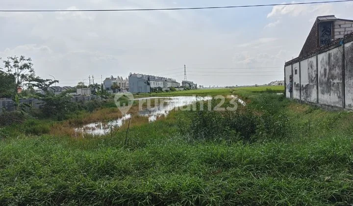 JUAL LAHAN 0 JALAN RAYA KH SYAFII GRESIK DEKAT TOL+PERKANTORAN JUAL LAHAN 0 JALAN RAYA KH SYAFII GRESIK DEKAT TOL+PERKANTORAN