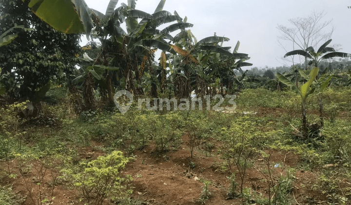 Tanah di Pancawati, Caringin Bogor, Cocok untuk Villa