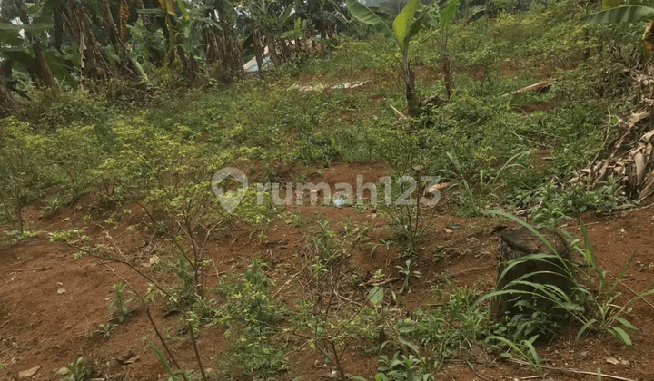 Tanah Pancawati Bogor, Strategis Dilalui Tol Ciawi dan Tol Caringin