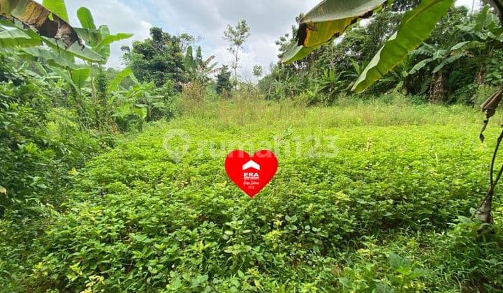 Tanah di Kabasiran Parung Panjang Bogor
