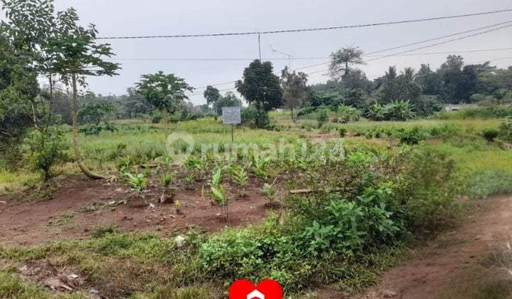 Tanah Luas 2900 Di Desa Babakan, Tenjo, Bogor.