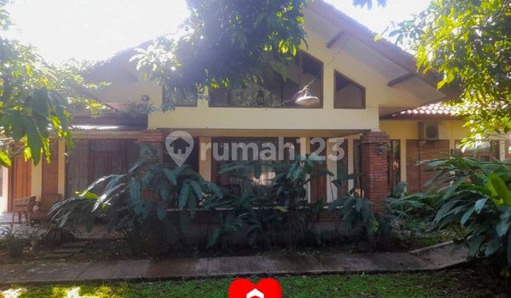 A Nice and Lush House in Cimanggis Depok