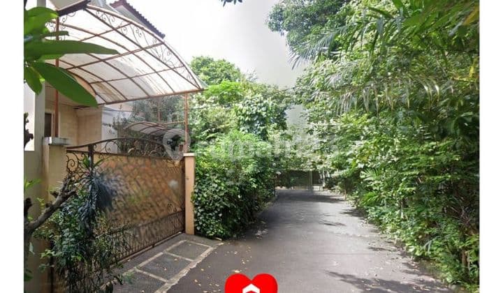 Rumah Bagus dan Asri di Kuningan, Setiabudi, Jakarta Selatan