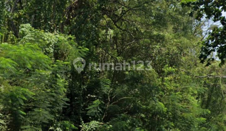 Land for Sale in Gombel, Upper Semarang, Price Below NJOP and Bank Appraisal. Good Investment.