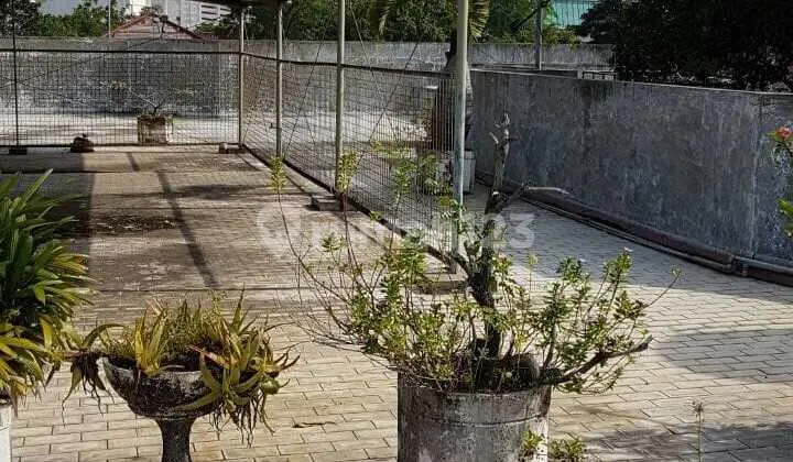 Ric.a227 Jual Rumah Cocok Untuk Usaha Maupun Tempat Tinggal Area Kertajaya Indah Murahh