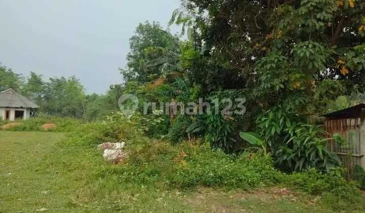 SHM Land Jiungjing Cisoka 1.7 Ha Plot Tangerang