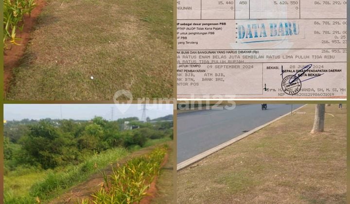 Cheapest Strategic Land with SHM, Container Access, 50% of NJOP, Area 15440M2, Cibubur, East Jakarta.
