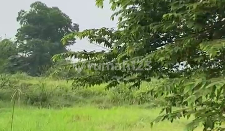 Lahan Strategis Kelapa Dua SHM Zona Kuning LT 20000M2 Tangerang