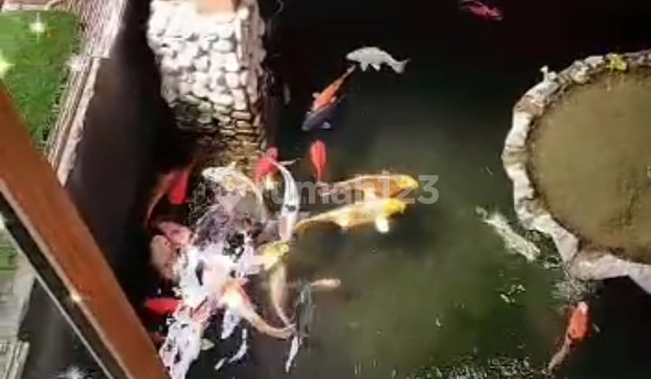 Rumah minimalis dilembang dijual