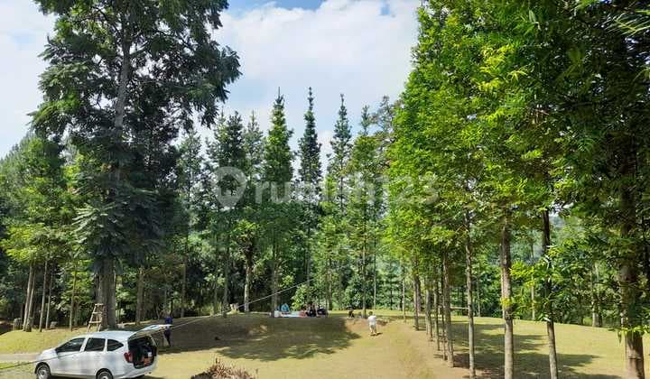 Dijual Kavling, Taman Lokasi Dago dengan View Cantik Cocok U Dibangun Villa, Taman.bermain Dll