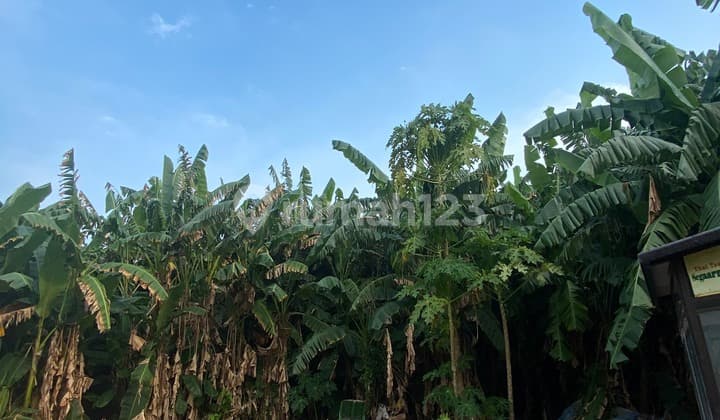 Land NJOP Price in Sunter Agung, Near Sunter Mall