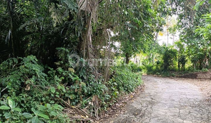 Tanah Murah Strategis Dekat Pantai Saba Lingkungan Villa