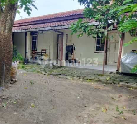 Rumah Hitung Tanah Di Jl Menjangan Kuncen Yogjakarta