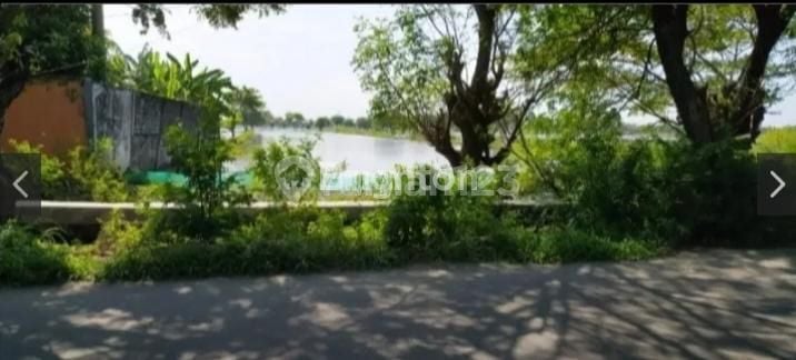 TANAH TAMBAK DI JL RAYA SIDOMULYO DEKET LAMONGAN