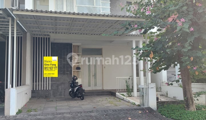 Disewakan Murah Royal Residence