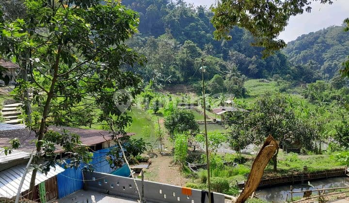 Tanah View Keren Pakintelan Patemon Gunungpati Dkt Kampus Unnes Cocok Buat Tempat Wisata