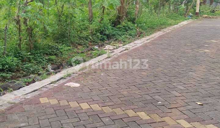 Tanah Dkt Kampus Undip Tembalang Jalan Bulusan Selatan Tembalang Semarang Atas