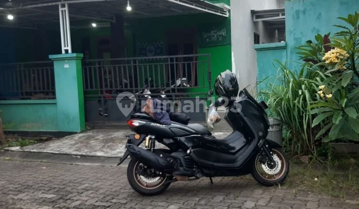 Rumah Siap Huni Klenteng Sari Dkt Kampus Undip Tembalang & Polines