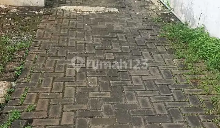 Tanah Ring 1 Undip Tembalang Semarang Dkt Undip & Polines Tembalang, Akademi Gizi