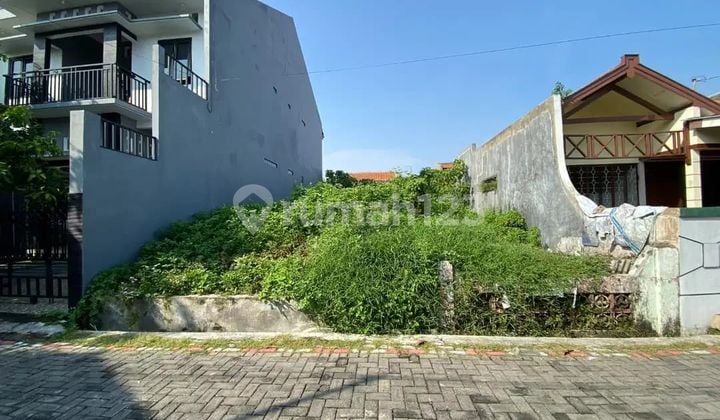 Tanah Strategis Siap Bangun Jalan Kelinci Pandean Lamper Gayamsari Kota Semarang
