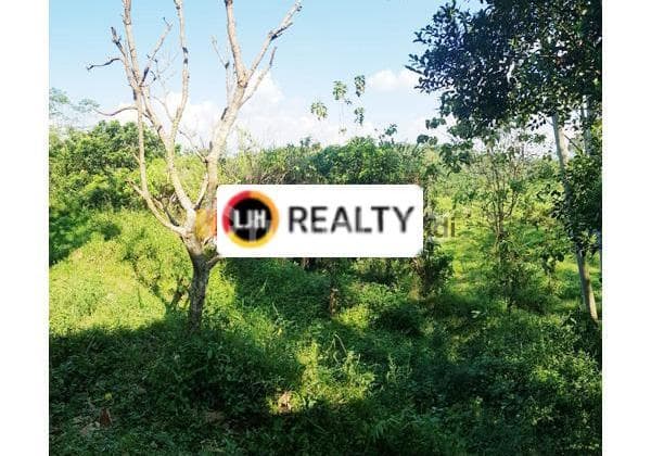 Kavling di Pakintelan Gunungpati Semarang