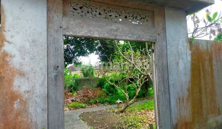 Tanah Menarik Canggu Badung