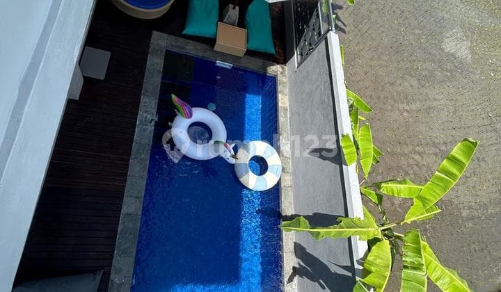 New House with Rice Field View in East Denpasar